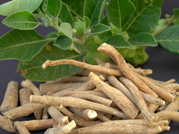 Ashwagandha KSM-66®