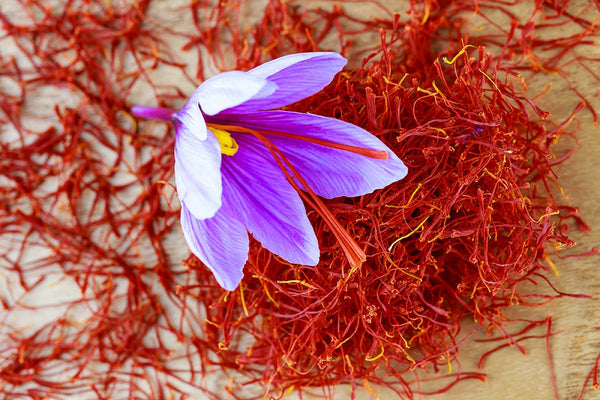 Azafrán (Crocus sativus)